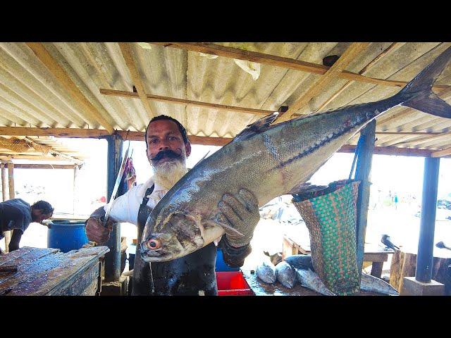 Mastering the Art of Cutting a Massive Travelly Fish