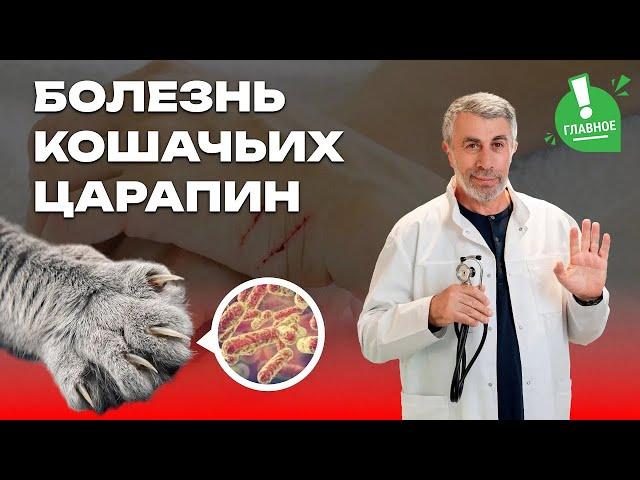 Болезнь кошачьих царапин