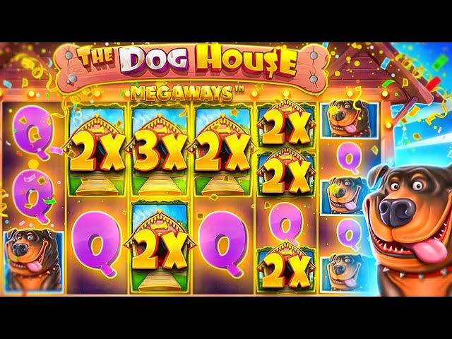 РИСКОВАННАЯ ИГРА! ОГРОМНЫЕ СТАВКИ В THE DOG HOUSE MEGAWAYS! ЗАНОС / ЗАНОСЫ