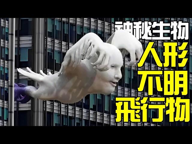 【UMA丨人形不明飛行物】最囂張的神秘生物，襲擊警察還被多名目擊者證實？傳說中的漂浮人影到底是什麼？丨神秘動物學UMA羊駝解說丨黑毛羊駝