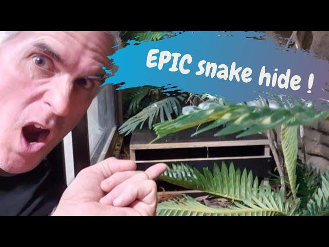 EPIC Snake Hide -  CrittaCam