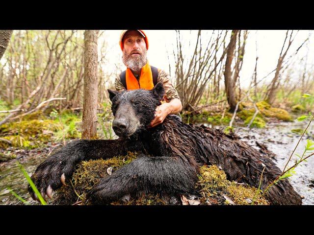 Hunt, Eat Delicious WILD CANADIAN BLACK BEARS (emotional) - PRIMITIVE CAVEMAN STONE COOKING!