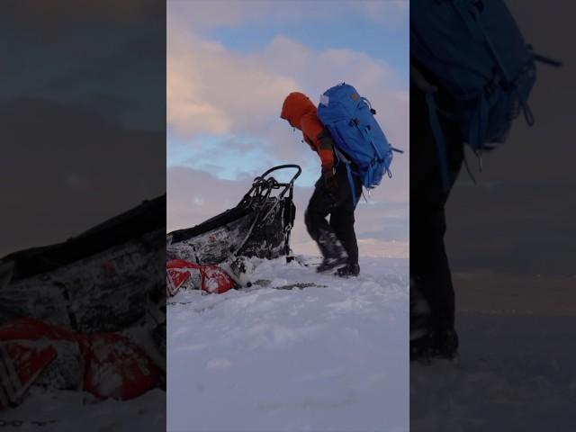 Unbreakable Spirit is born in Ice #nature #arctic #cold