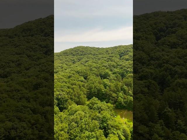 매물문의&접수 | 대전, 충남 토지 매매 전문부동산/진잠나들목부동산(연락처:042-544-7566)