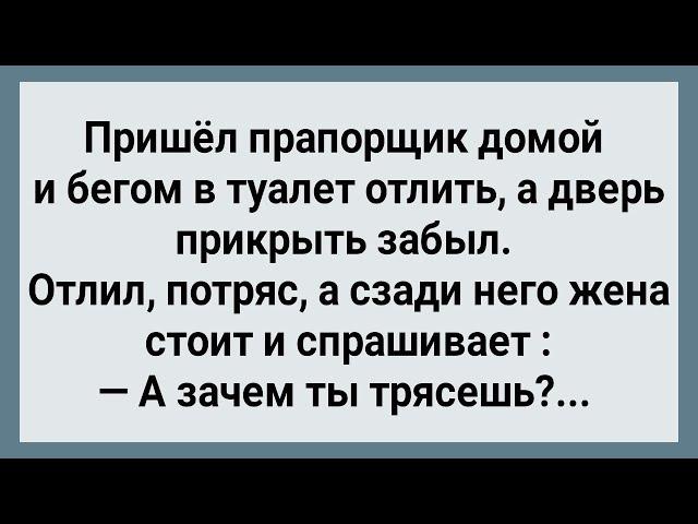 Как Прапорщик в Туалете Тряс! Сборник Свежих Анекдотов! Юмор!