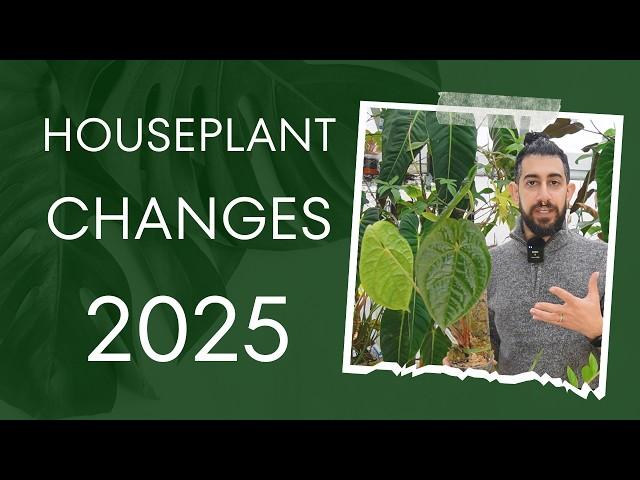  Top 5 Houseplant Trends for 2025 – Surprising Predictions! 