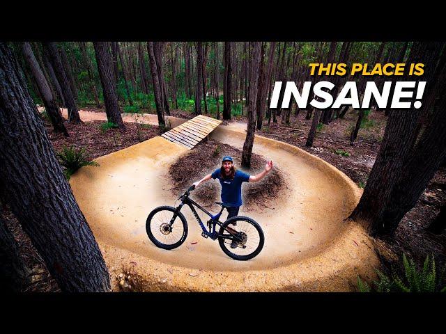 I Built The Ultimate Backyard MTB Trail!