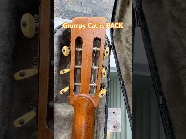 Sad face emoji!  #whatsinthecase #antiqueguitar #acousticguitar #vintageguitar #jumbo