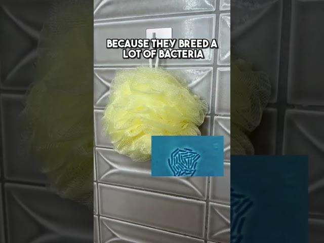 Are plastic loofahs the best scrubbers to use for your body? Let’s talk about it! #loofahtiktok