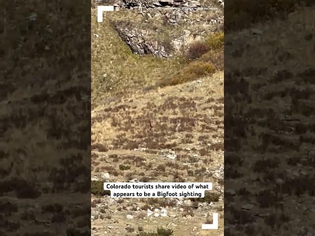 Colorado tourists share video of what appears to be a Bigfoot sighting