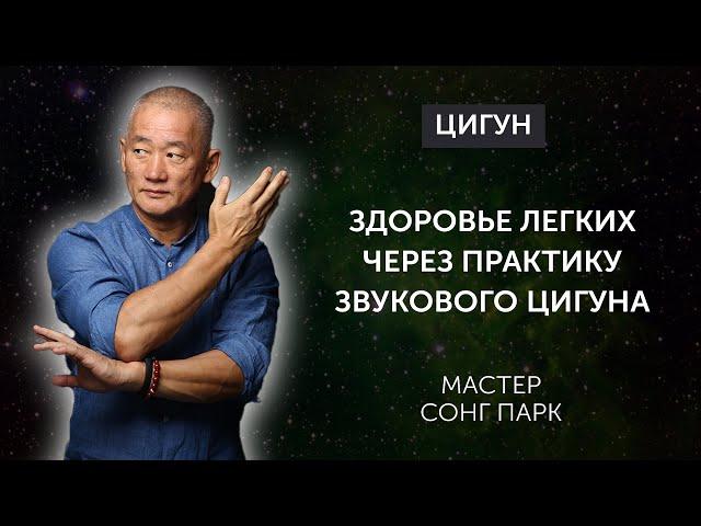 Как звуки влияют на дыхание: от носа до клеток ? | Мастер Сонг Парк | Академия Киайдо