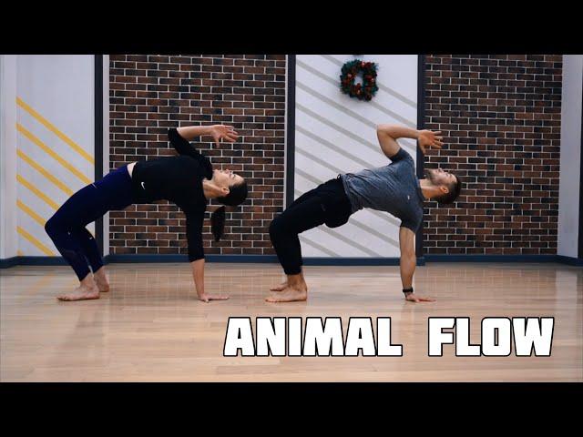 Что такое Animal Flow / Тренировка для Новичков