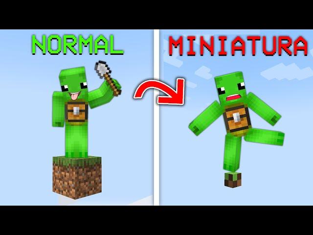 Minecraft Dar Este un BLOC in MINIATURA !