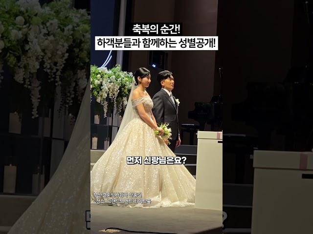 하객분들과 함께하는 결혼식 젠더리빌이벤트 #결혼식 #결혼식이벤트 #결혼식순서