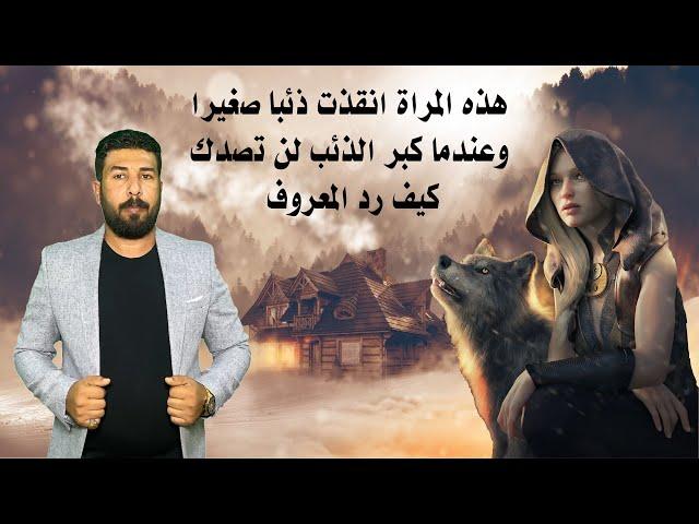 قصة هذه المراة انقذت ذئبا صغيرا وعندما كبر الذئب لن تصدك كيف رد المعروف للمراة / اداء محمد الموسوي