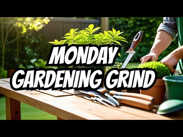 A Day in the Life: Monday at CJ Garden Services