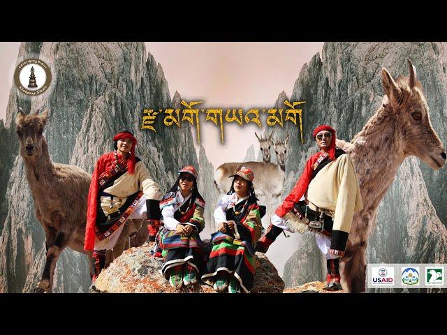 NEW TIBETAN SONG 2024 (Ngari) || རྫ་མགོ་གཡའ་མགོ ||སྒེར་རྩེ་དགེ་རྒྱས་ངག་གླུ།  DZA-GO-YAGO