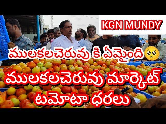 29-10-24 Mulakalacheruvu Tomato Market price Today || Today Tomato Market Rate in Mulakalacheruvu