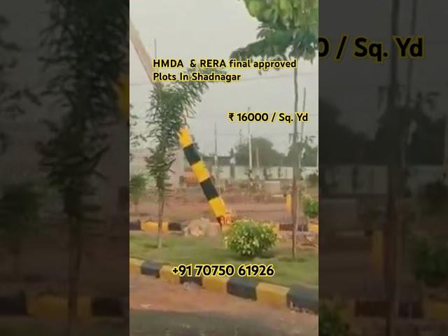 Harmoney homes | HMDA approved plots in Shadnagar | Near Shamshabad #shadnagarplots #shamshabadplots