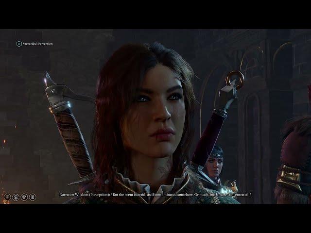 Baldur's Gate 3 - cool stealth interaction