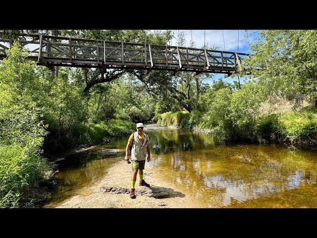 Exploring at Paynes Creek Historic State Park