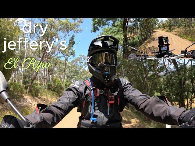 dry jeffery's | Jeffery's track on the Aprilia Tuareg 660