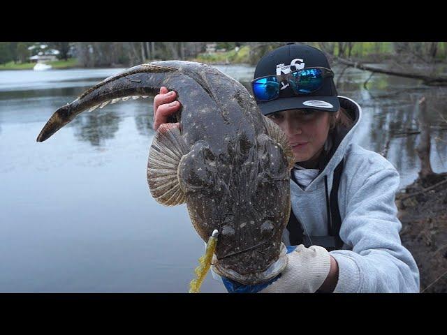 This Lure Catches Fish (Sand Flat Giant)