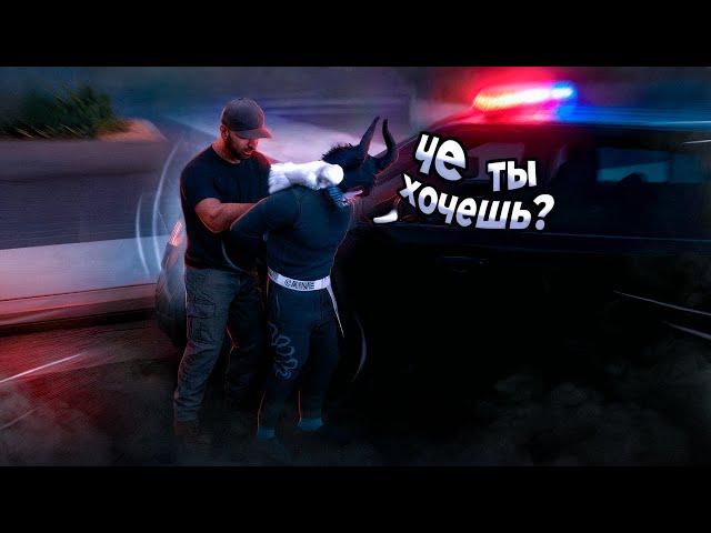 Мы не собираемся никого задерживать [GTA RP]