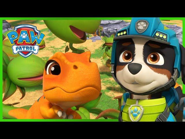 Los cachorros salvan a un T-Rex - PAW Patrol Episodio Español - Patrulla de Cachorros