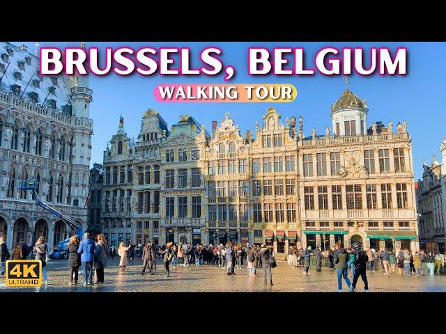 Amazing Brussels Belgium Virtual Tour  4k City Walk [January 2024]