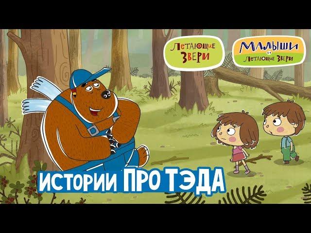 Летающие звери - Сборник «Истории про медведя Тэда» - Малыши и Летающие звери 13+