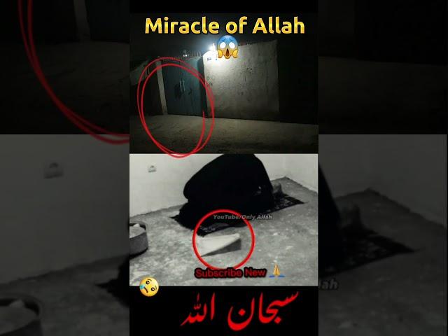 Miracle of Allahالله أكبر||#youtubeshorts#viral#shortvideo#viralvideo#shorts#viralshort#allah||