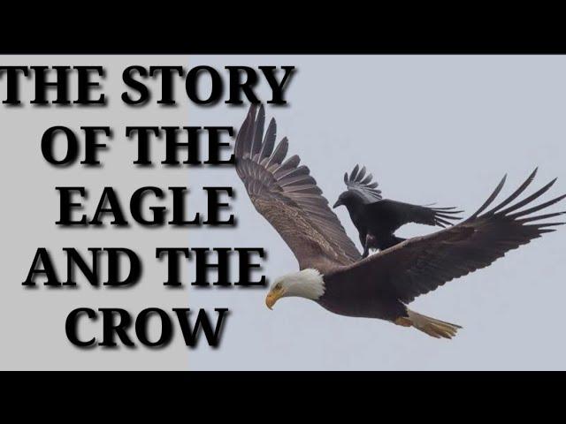 A Powerful Story About Rising Above Negativity (THE EAGLE and CROW)#EagleandCrow #GOHIGHER