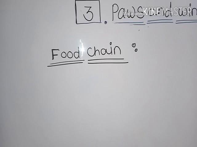 Science lesson "Paws and Wings"(Food Chain) Grade- 3