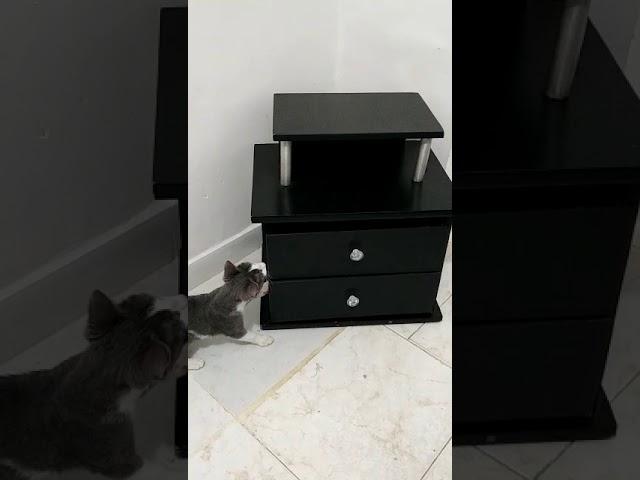 Cómo abrir un cajon: nivel misión imposible