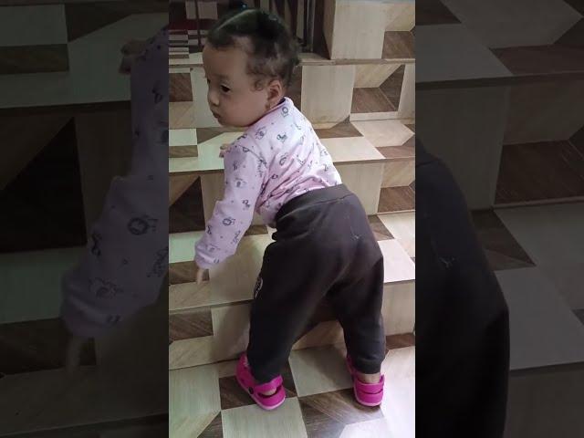 #Ekkisum likes to play on stairs#