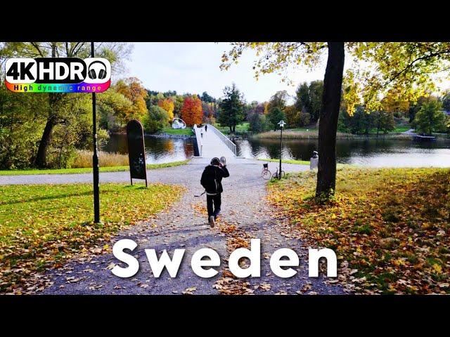 4K HDR Stockholms Autumn Walks That Will Make You Fall in Love with Sweden