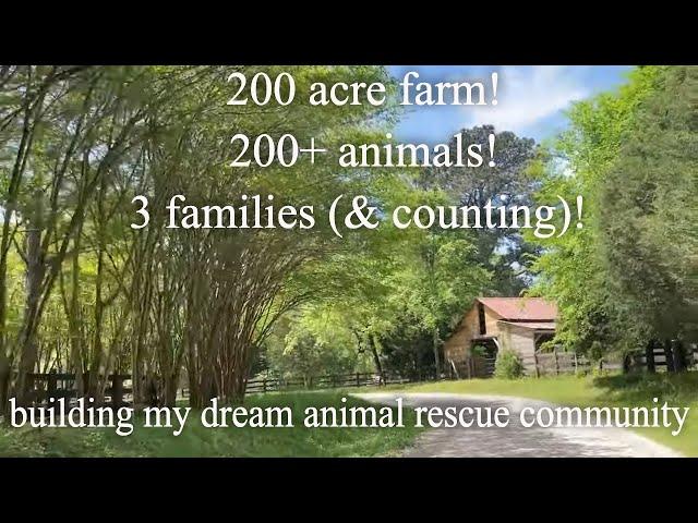 Tour Our 200 Acre Animal Sanctuary | 3 Homesteads!