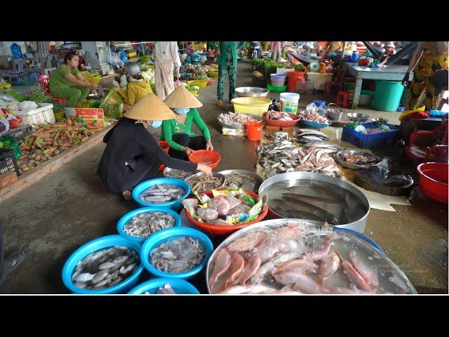 120 / Đi chợ quê ở Miền Tây có gì vui | Hòa Thuận Market
