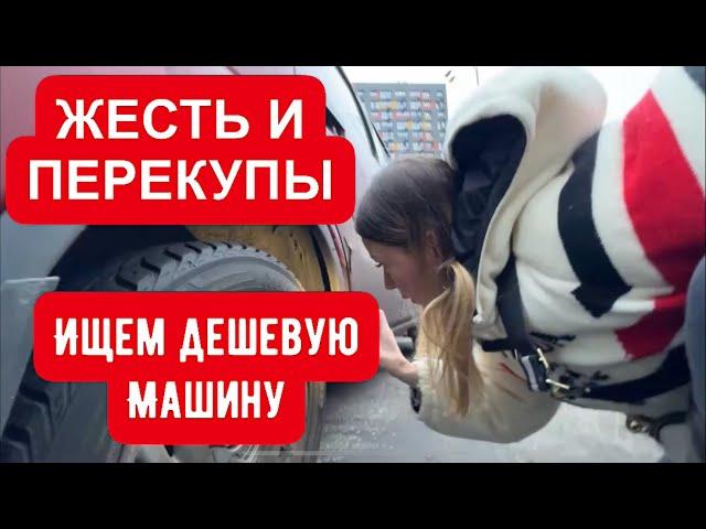 ПЕРЕКУПЫ, ЖУЛИКИ, ДРОВА: ПОКУПАЕМ МАШИНУ ЗА 300 тр