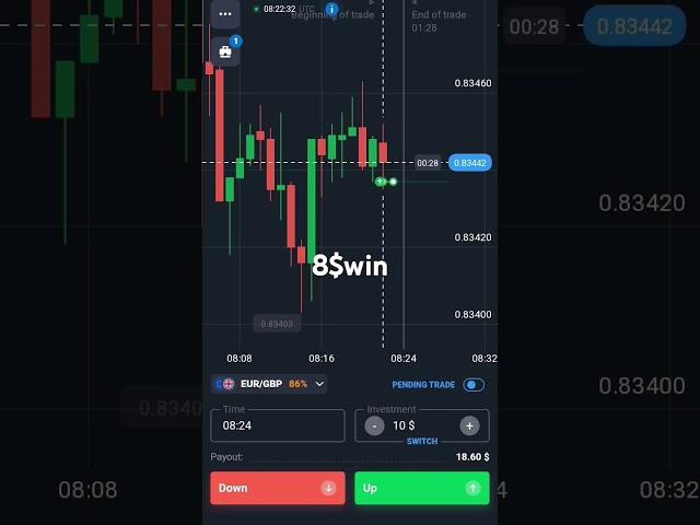 Binary trading #cricket crypto trading