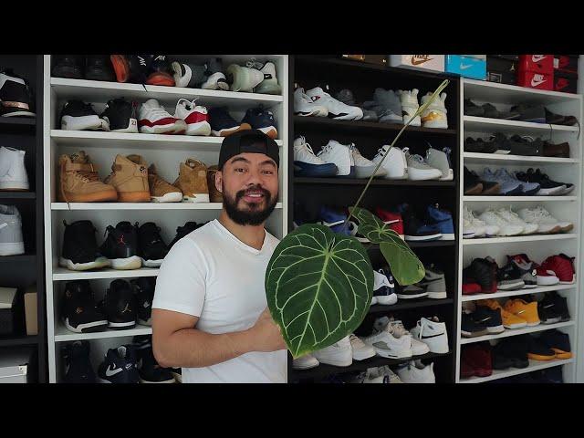 My Sneaker Collection | Crazy Plant Guy