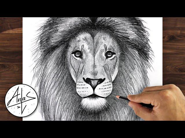 How To Draw A LION | Drawing Tutorial For Beginners step by step