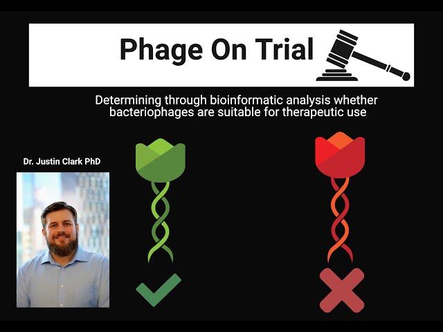 Phage On Trial—Bioinformatic analysis of therapeutic phages