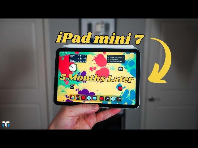 iPad Mini 7 Five Months Later: My Only iPad!!