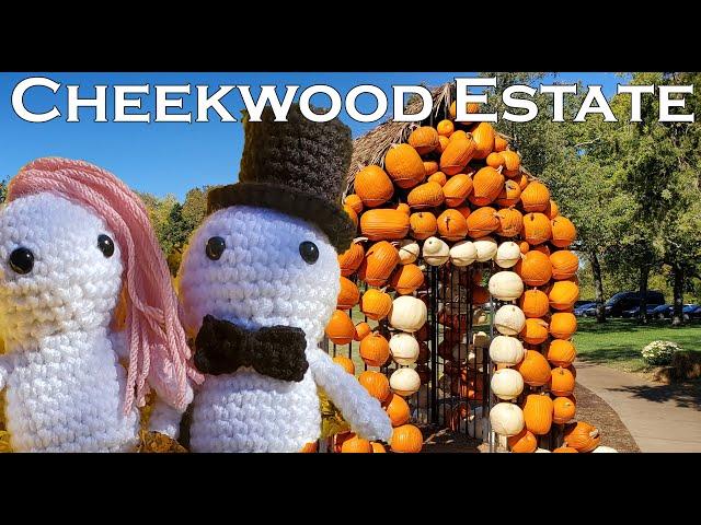 A visit to Cheekwood Estate and Gardens in Nashville, Tennessee