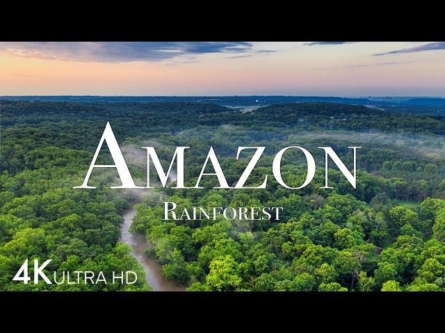 Amazon in 4K - The World’s Largest Tropical Rainforest | Aerial Drone | Scenic Relaxation Film