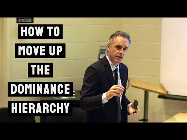 How to Move up the Dominance Hierarchy | Jordan Peterson