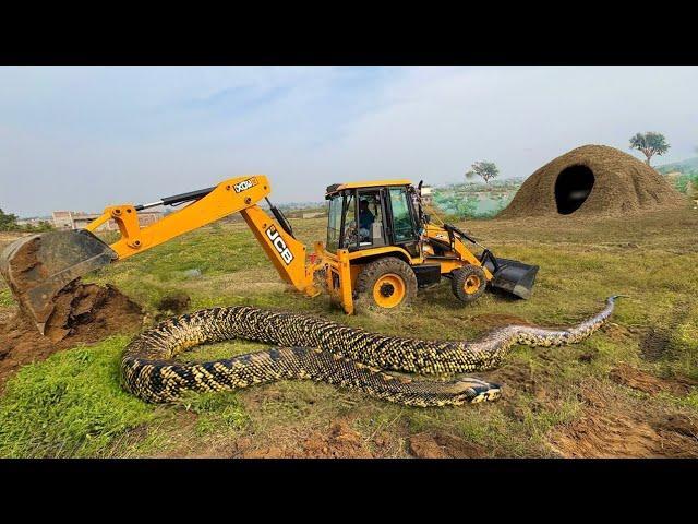 JCB 3dx Backhoe Loading Mud in Swaraj trector JCB khudai work JCB miti khudai #jcb #jcbkhudai