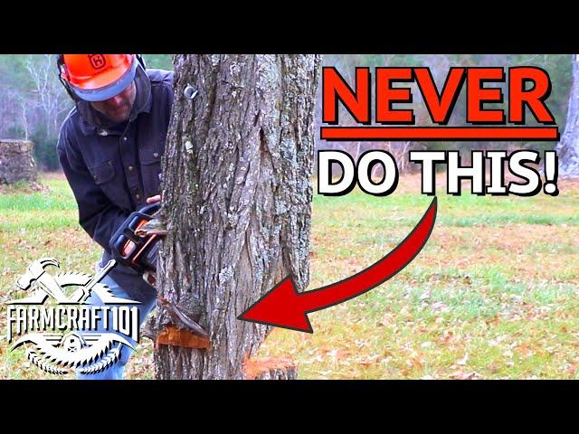 How To Chainsaw Like a Boss. This Could Save Your Life.